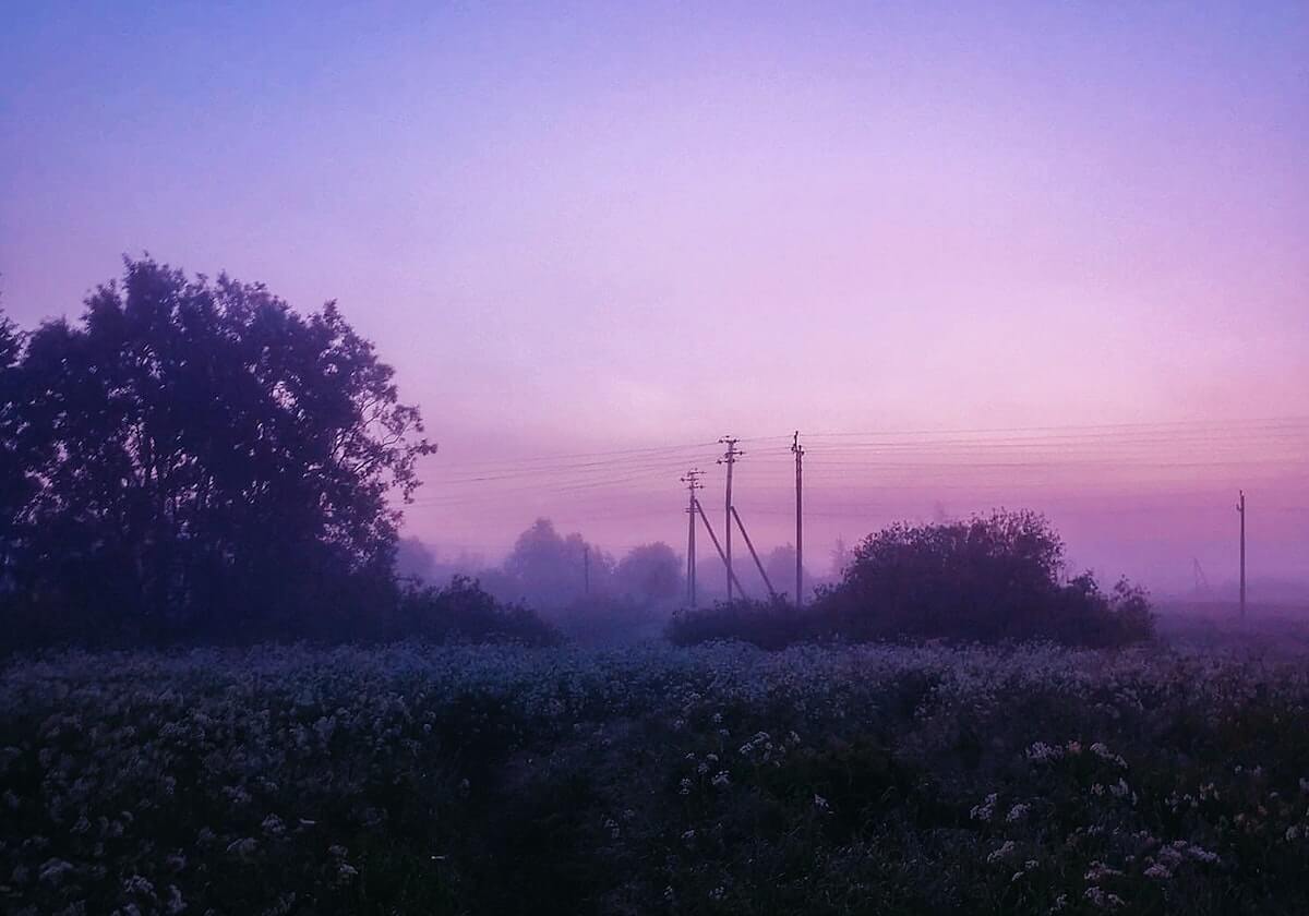 开云网站：让品牌在云端闪耀的全方位解决方案